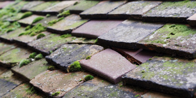 Peterborough roof repair costs